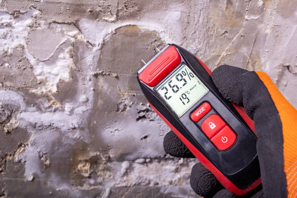 Best Commercial Mold Remediation in Rossville, MD